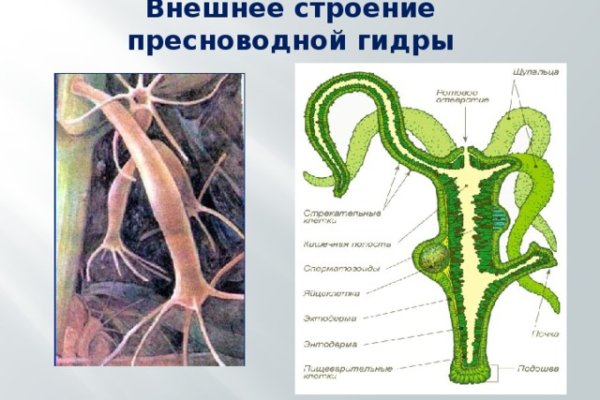 Ссылка на кракен свежая