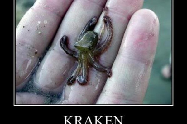 Kraken 24 at